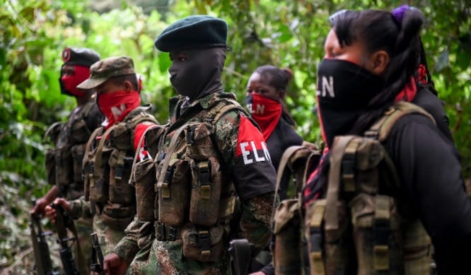 ELN Libera a ciudadano Ecuatoriano en la selva del Darién imagen de la publicación