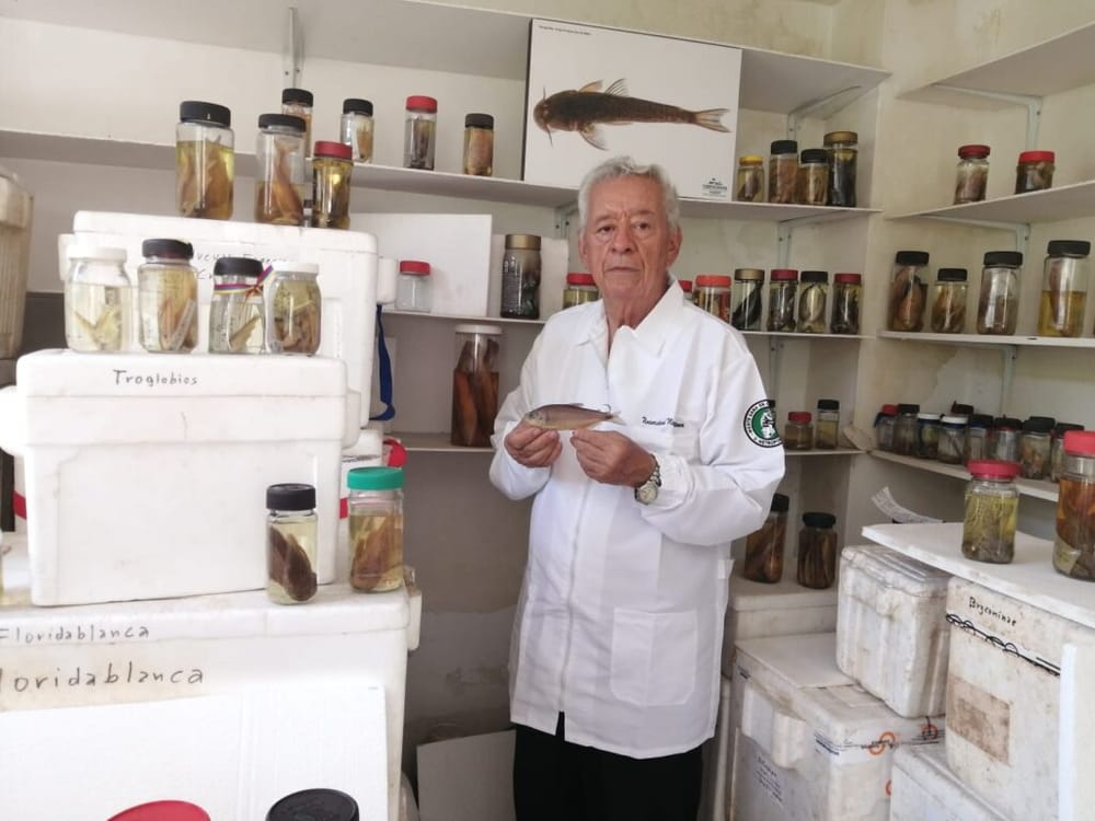 Científico florideño homenajea su alma mater con hallazgo de Creagrutus metropolitana imagen de la publicación