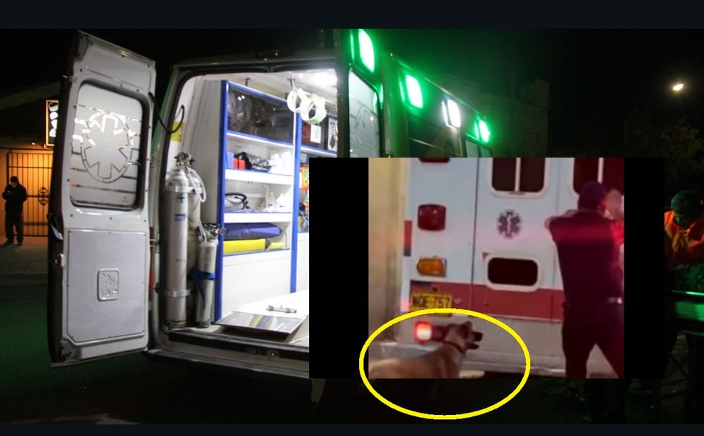 VIDEO. Guardián de cuatro patas no abandonó a su dueño que se llevaron en una ambulancia imagen de la publicación