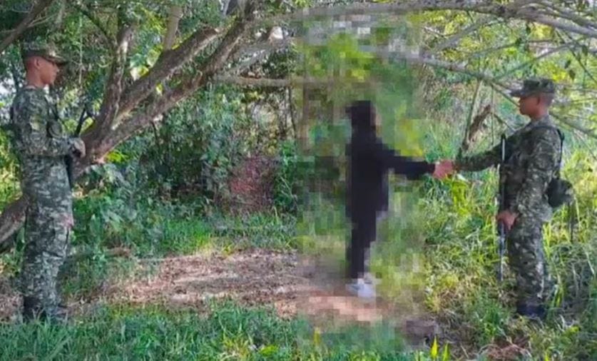 Este año 15 guerrilleros han abandonado las armas en Colombia imagen de la publicación