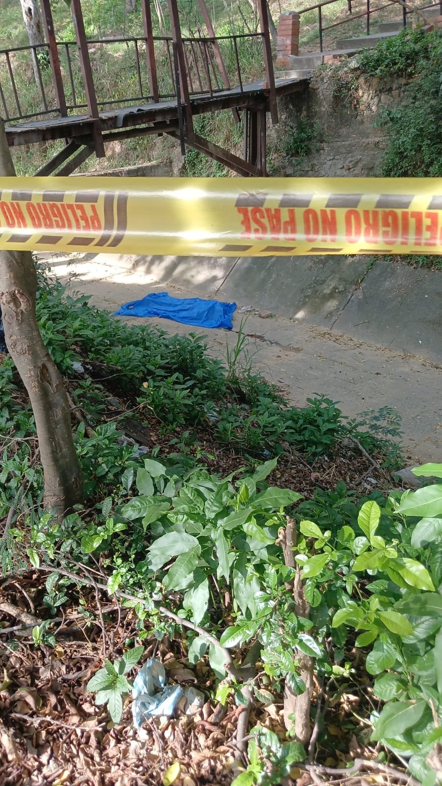 A 'Pocho' le dieron 'lata' hasta la muerte en Girón imagen de la publicación