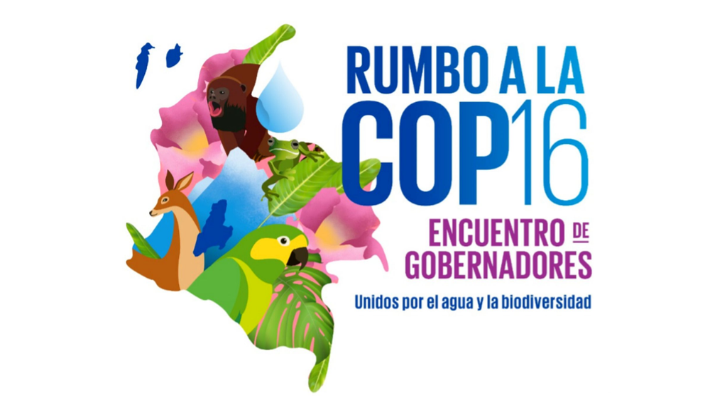Encuentro de Gobernadores en Ibagué definirá hoja de ruta ambiental para la COP16 imagen de la publicación