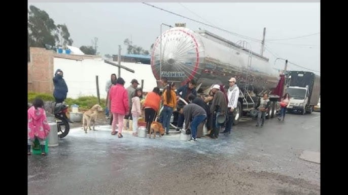 Congreso de la República analiza crisis lechera del país imagen de la publicación