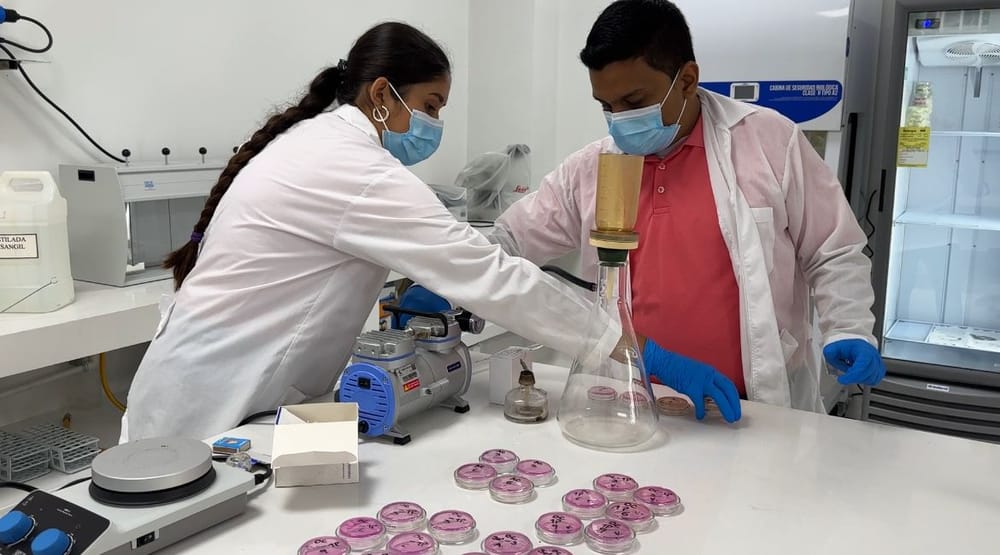 UDES contribuye al desarrollo de tecnología para el cuidado del río Fonce imagen de la publicación