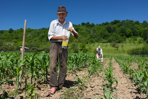 Presidente pidió al sector privado apoyar la Reforma Agraria imagen de la publicación