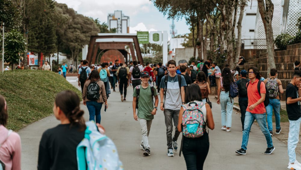 Más cupos universitarios, matrícula Cero y subsidio de transporte y alimentación: nueva reforma educativa en el Senado imagen de la publicación