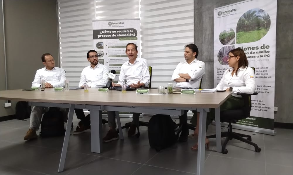 Socializado laboratorio de Tecnopalma que impulsa a la palmicultura colombiana imagen de la publicación