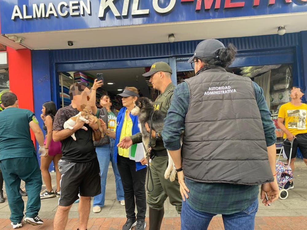 Alcaldía de Bucaramanga intensifica lucha contra la venta ilegal de mascotas imagen de la publicación