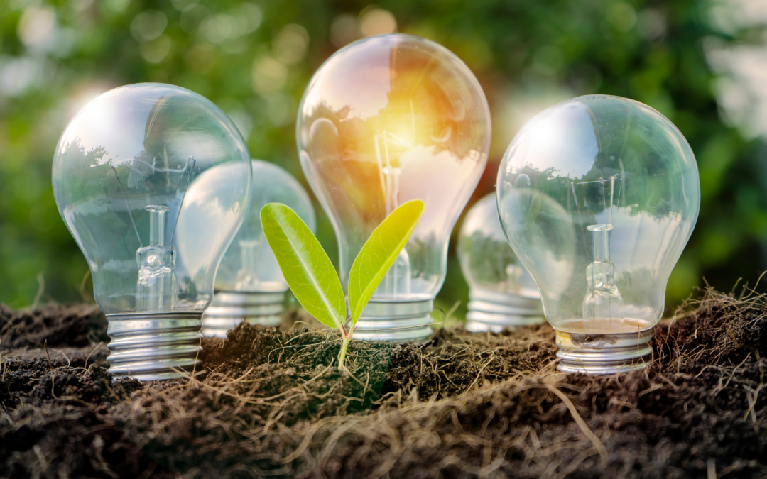 UIS lidera la transición energética en Barrancabermeja imagen de la publicación