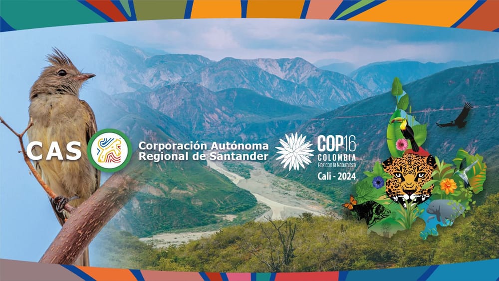 La CAS presenta 13 Negocios Verdes en la COP16 imagen de la publicación