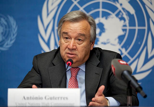 Guterres hace un llamado a la inversión para salvar la naturaleza en la COP16 imagen de la publicación