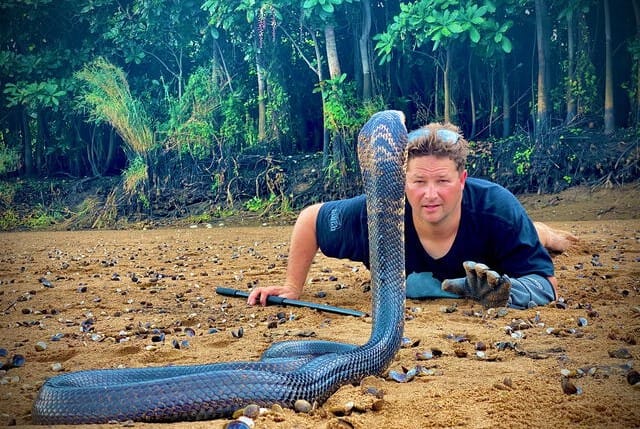 Youtuber muere por mordedura de serpiente venenosa imagen de la publicación