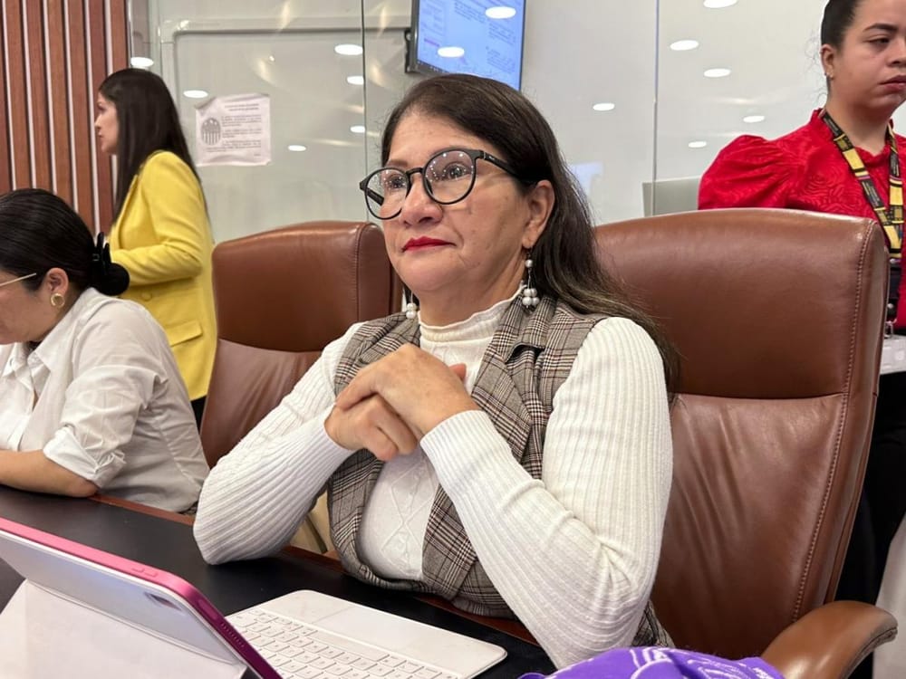 Senadora Sandra Ramírez culpa a la JEP del rearme de exguerrilleros de las Farc imagen de la publicación