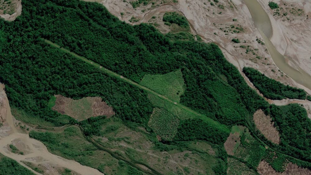 Detectan 67 narcopistas en la selva peruana usando inteligencia artificial imagen de la publicación