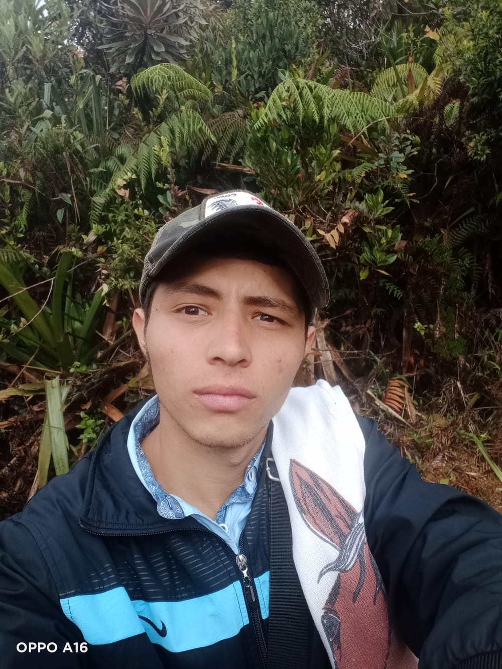 En extrañas circunstancias joven murió arrollado en El Socorro imagen de la publicación