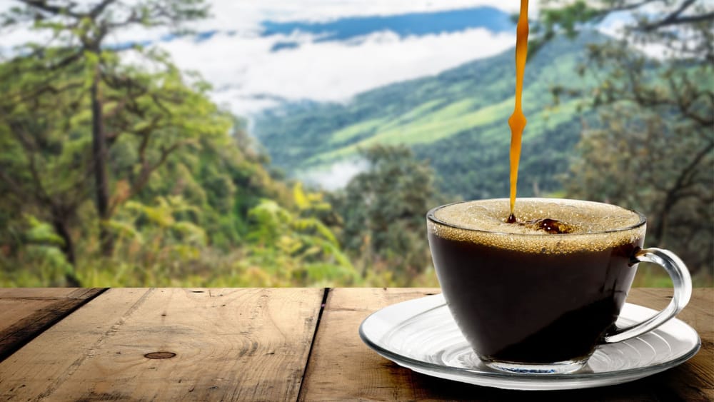 10 lotes del mejor café colombiano serán subastados en Europa y Asia imagen de la publicación