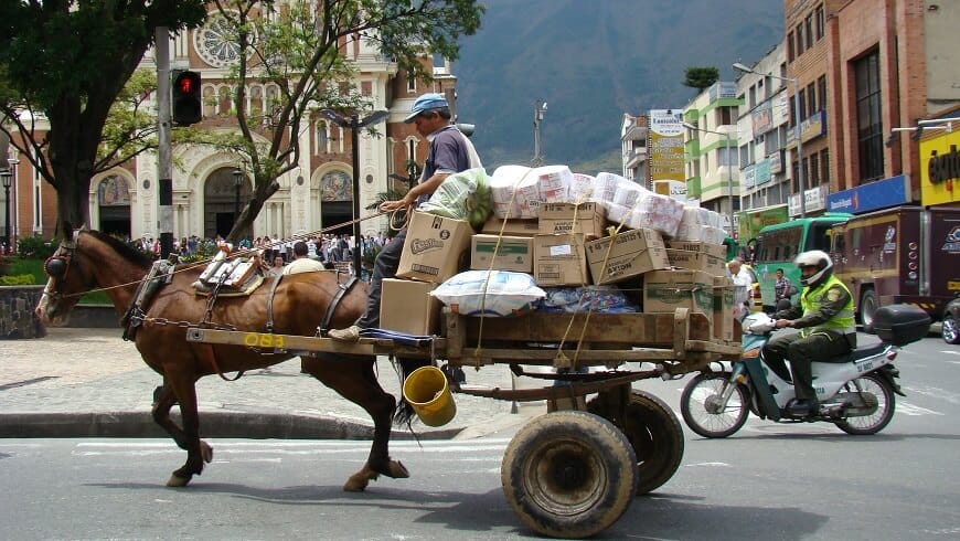 Califican de fracaso implementación de ley que prohíbe los vehículos de tracción animal imagen de la publicación