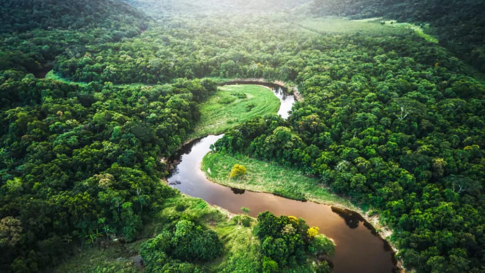 Brasil fija ambiciosos objetivos climáticos y se prepara para la COP30 en la Amazonía imagen de la publicación