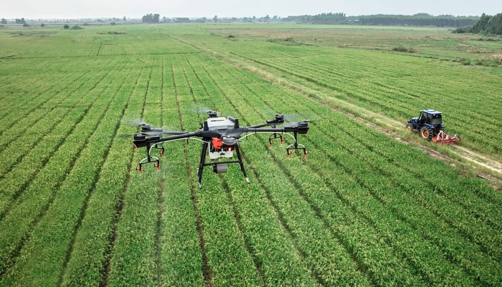 Entretenimiento y agricultura impulsan el crecimiento económico colombiano imagen de la publicación