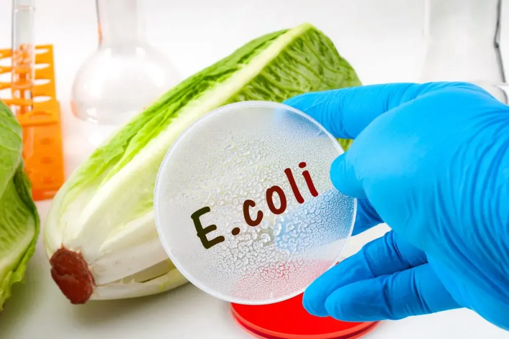 Aumentan casos de E. coli vinculados con hamburguesas en EE. UU. imagen de la publicación