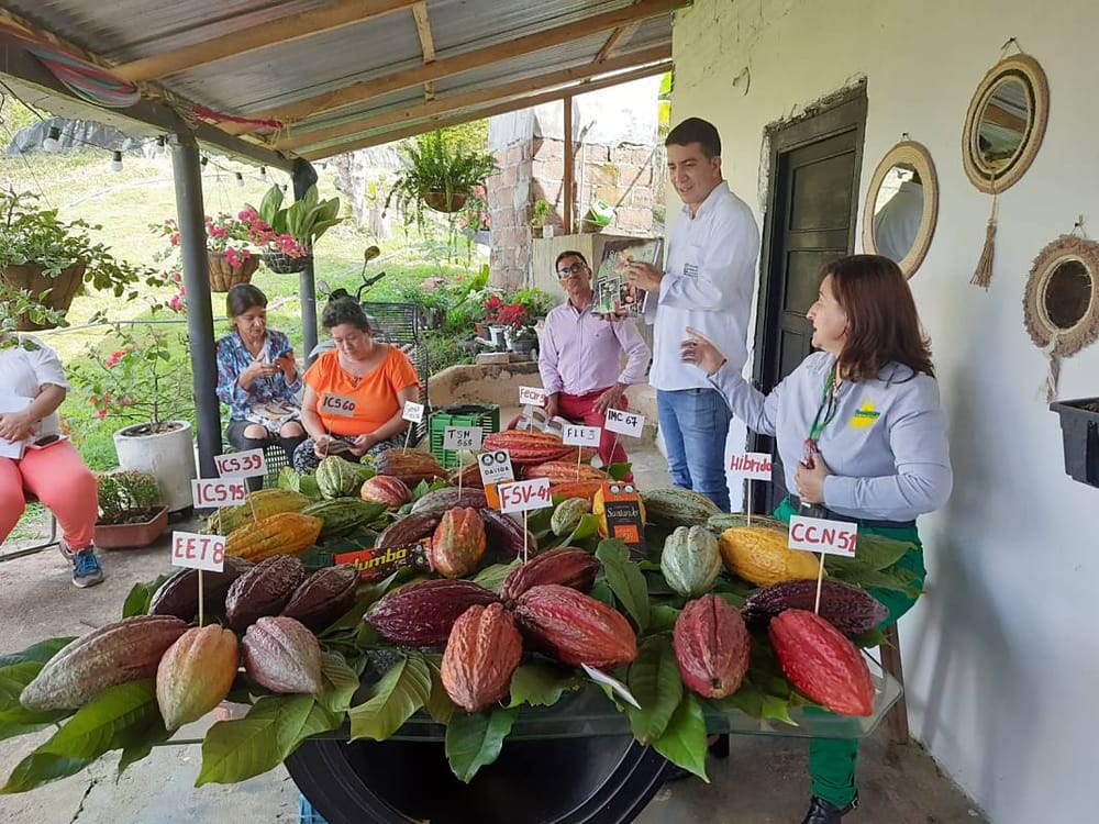 Economía de Santander crece pero a menor ritmo que el país imagen de la publicación
