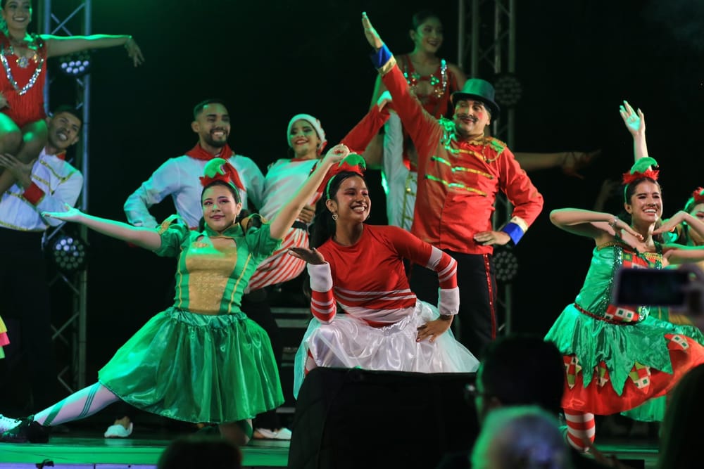 Prohibida la pólvora en Bucaramanga durante fiestas de Navidad y fin de año imagen de la publicación