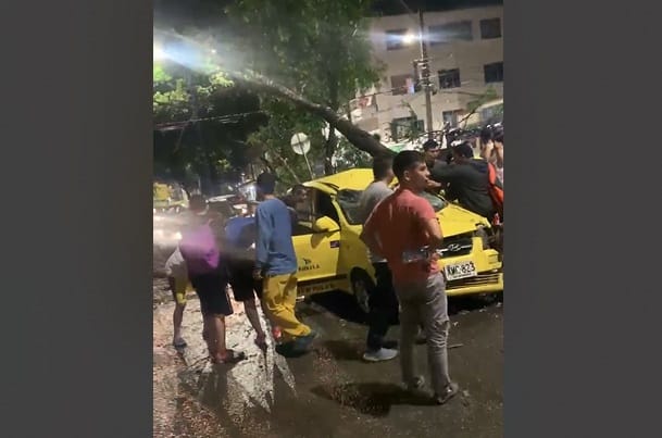 VIDEO: Herido resultó un taxista bumangués al que le cayó un árbol sobre el carro imagen de la publicación