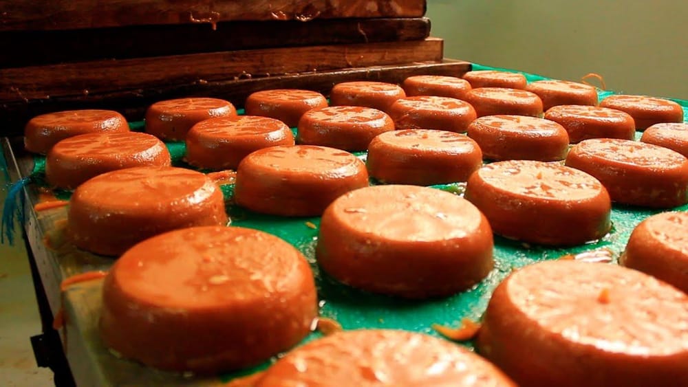 Santander compite por el récord guinness con su panela gigante imagen de la publicación