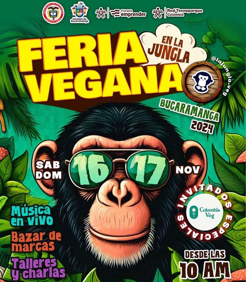 En Bucaramanga la ‘Feria Vegana 2024’ imagen de la publicación