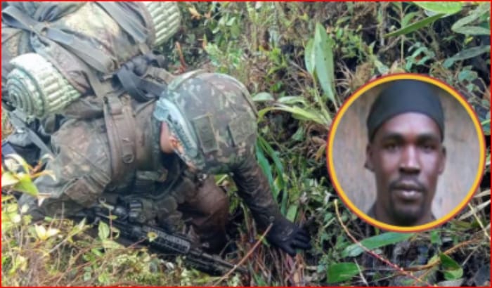 Cabecilla del ELN exterminado a bala imagen de la publicación