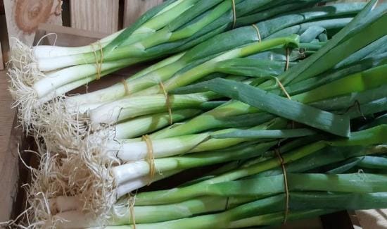 Este viernes habrá ‘Cebollatón’ en Bucaramanga para apoyar a los cultivadores de Berlín imagen de la publicación