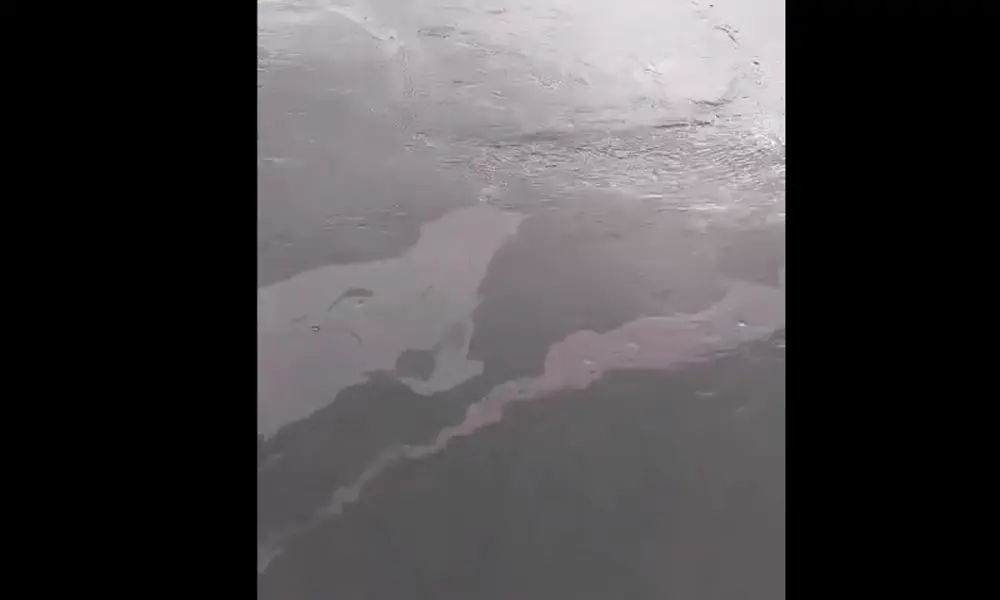 Autoridades ambientales trabajan en atender derrame de combustible en Cimitarra imagen de la publicación