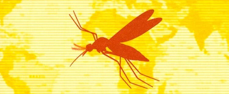 Santander refuerza medidas contra la Fiebre Amarilla imagen de la publicación