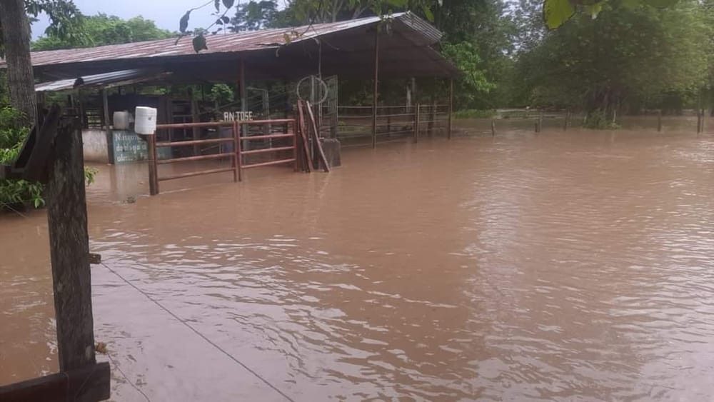 Inundaciones por desbordamiento del río Lebrija afectan a más de 50 familias en Rionegro imagen de la publicación