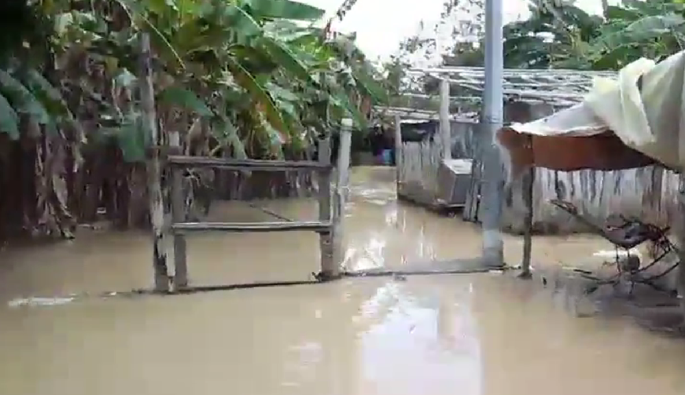 Río Lebrija arrasa con cultivos y viviendas en Sabana de Torres imagen de la publicación