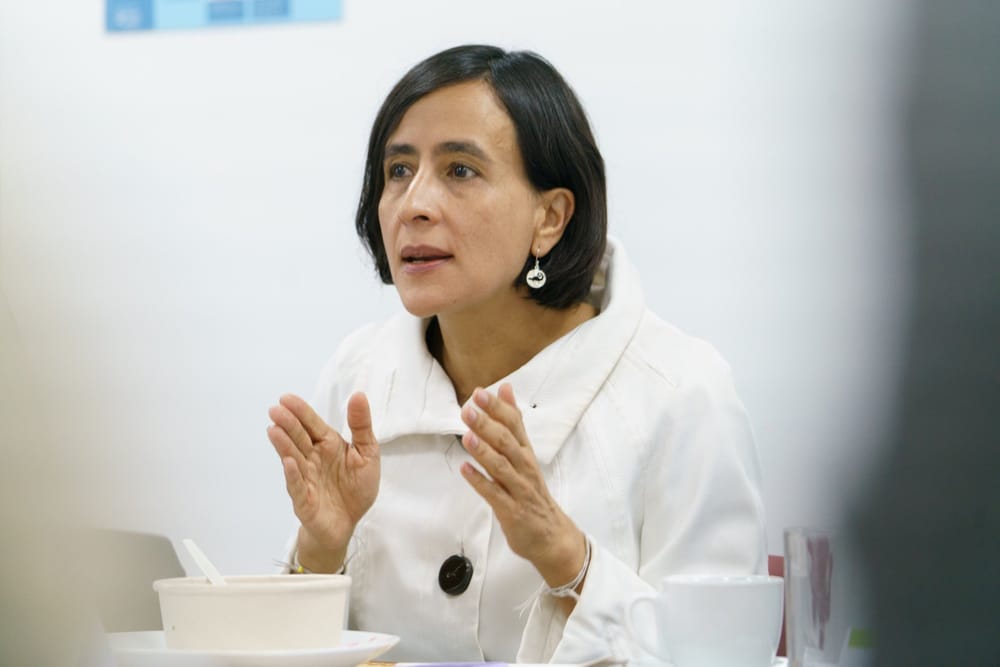 Tutela pone contra las cuerdas a la Ministra de Medio Ambiente por atropellar derechos de las comunidades mineras de Santander imagen de la publicación