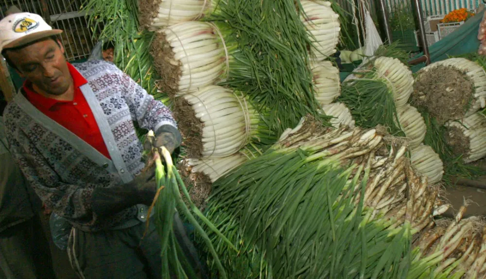 Cebolleros de Santander participarán en mesa de trabajo con MinAgricultura imagen de la publicación