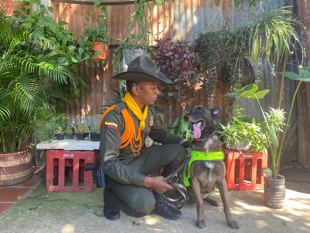 Oker: El héroe canino que protege la Navidad de los niños de Bolívar imagen de la publicación