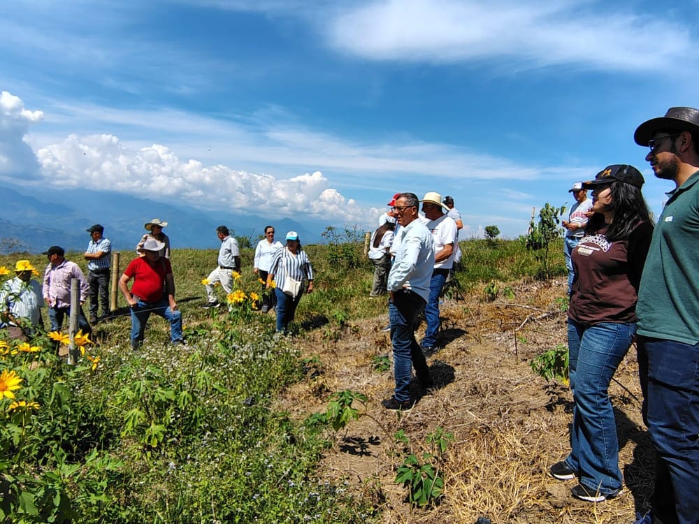 AGROSAVIA y Fedegan siembran futuro sostenible para ganadería santandereana imagen de la publicación