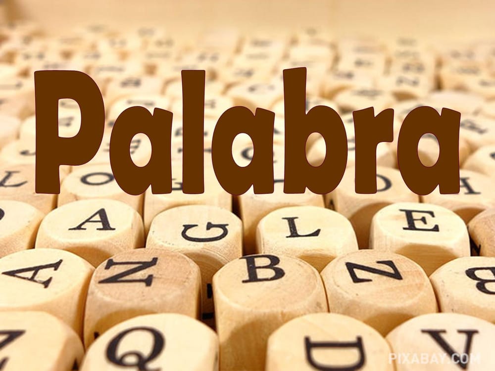 Las palabras que marcaron al mundo en 2024 imagen de la publicación