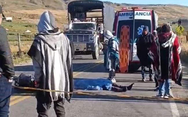 Vaca le ocasionó la muerte a un motorizado vía Cúcuta imagen de la publicación
