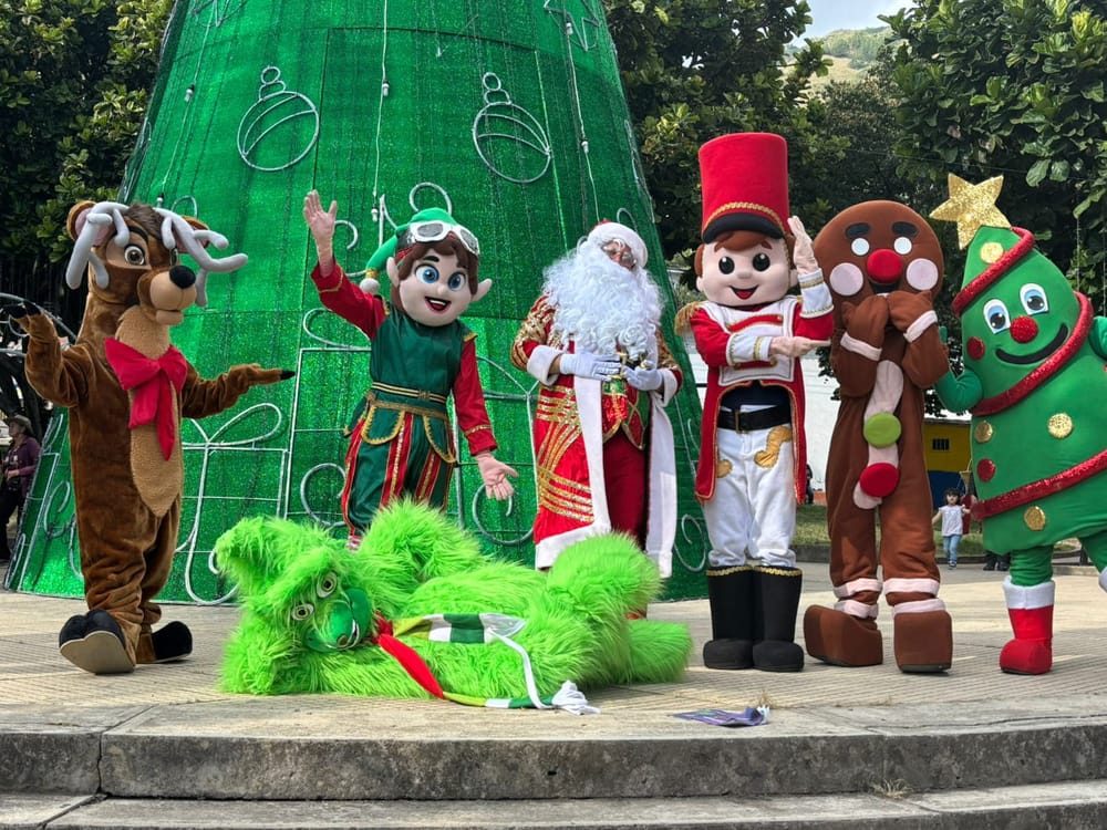Carcasí se vistió de rojo y verde para recibir la Navidad imagen de la publicación