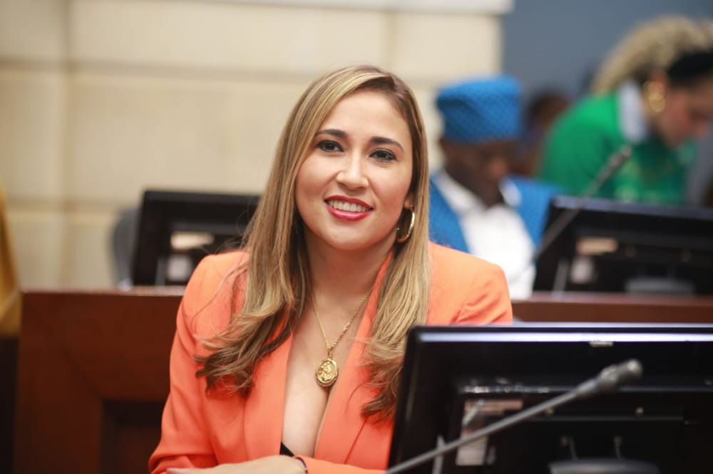 Senadora santandereana Sandra Jaimes con proyectos que buscan la protección y cuidado por los niños y los jóvenes imagen de la publicación