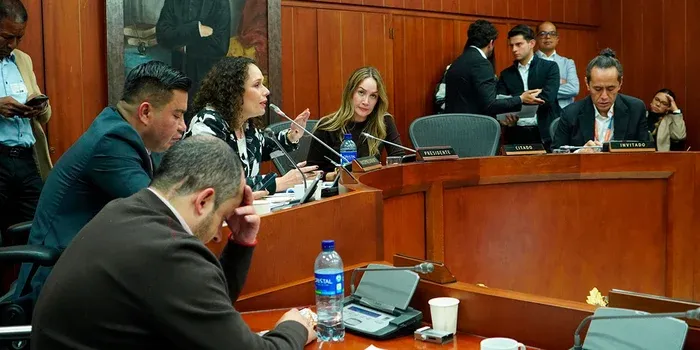 Expectativa por segundo debate de la ley ferroviaria imagen de la publicación