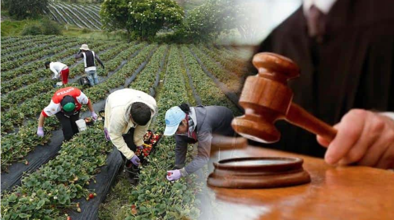 Duro pronunciamiento contra proyecto que reglamenta la Jurisdicción Agraria y Rural: desconoce competencias del Consejo de Estado imagen de la publicación