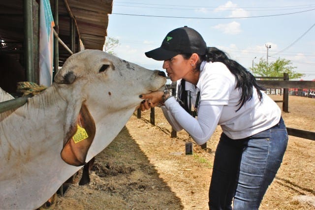 A cambio de servicio militar, estudiantes podrán optar por el servicio de bienestar animal imagen de la publicación