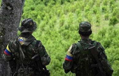 En Catatumbo, 104 miembros de las disidencias de las Farc se han sometido a la justicia imagen de la publicación