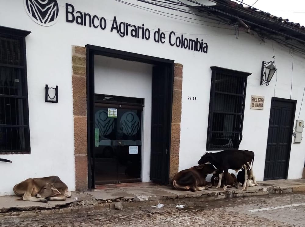 ATENCIÓN: Atracada a mano armada sucursal del Banco Agrario en Girón, Santander imagen de la publicación