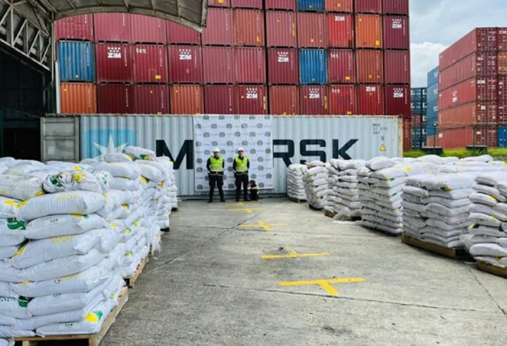 Golpe al narcotráfico con incautación récord en Buenaventura imagen de la publicación