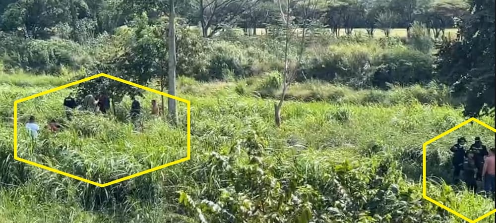 Hallan cuerpos sin vida con signos de violencia imagen de la publicación